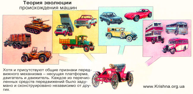 Теория эволюции и машины Теория эволюции и машины