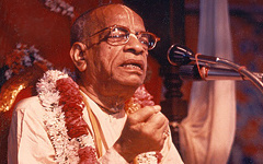 Способ обезьяны или кошки? Способ обезьяны или кошки?