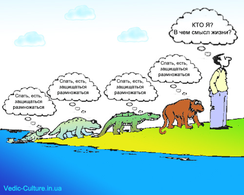 Душа и человек Душа и человек