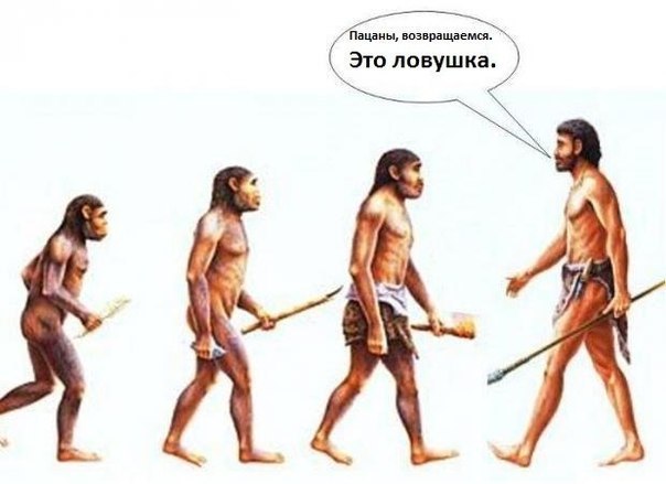 Возникновение человека — случайность? Возникновение человека — случайность?