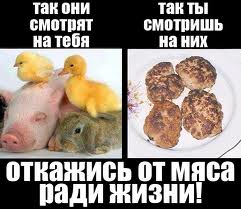 Цитаты знаменитых вегетарианцев Цитаты знаменитых вегетарианцев