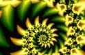 Дневник желудка: один день из жизни желудка
