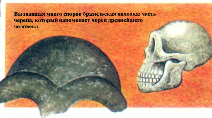 Теория эволюции. Всё ли так просто, как кажется? Теория эволюции. Всё ли так просто, как кажется?