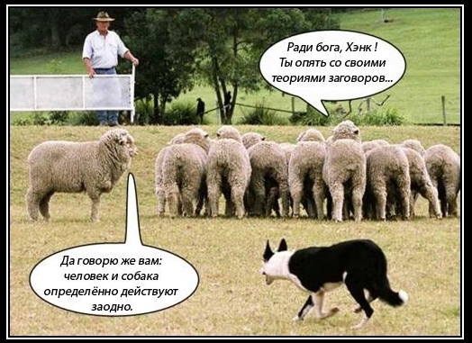 Слепое следование Слепое следование