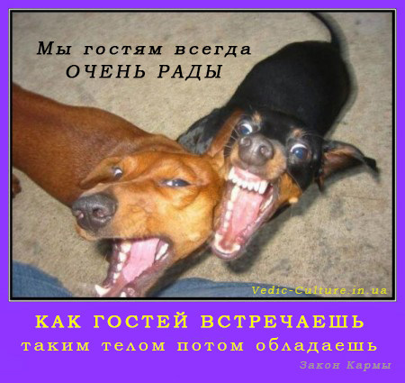 Этикет приёма гостей Этикет приёма гостей