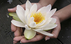 Рекомендации аюрведы о счастливой жизни Рекомендации аюрведы о счастливой жизни