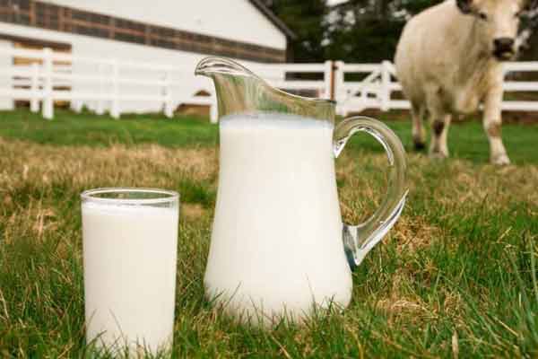 Продукты в благости Продукты в благости