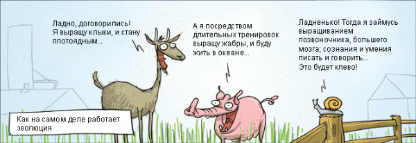 Крах теории эволюции