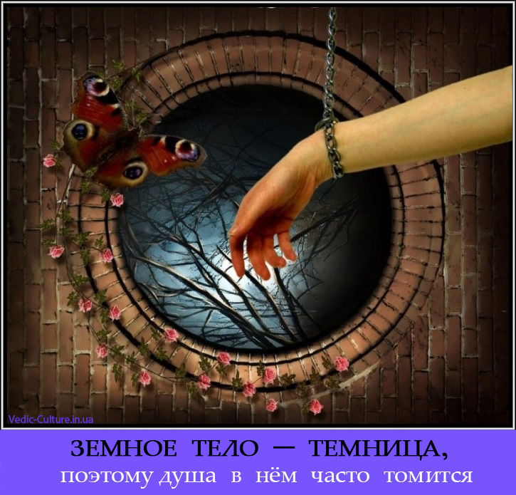 Душа и тело
