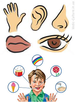 Процесс познания мира и чувства человека Процесс познания мира и чувства человека