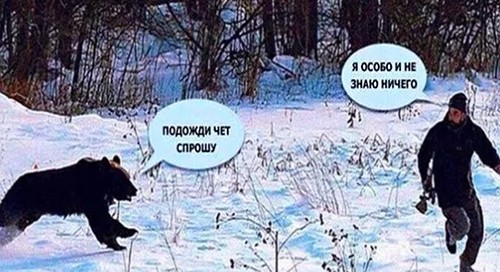 Почему вегетарианство... Почему вегетарианство...