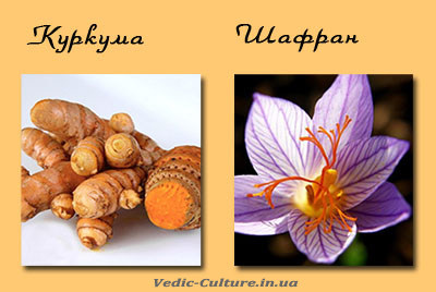 Куркума и шафран Куркума и шафран